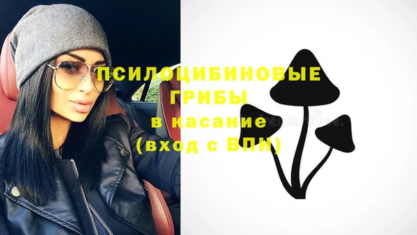 гидра Алзамай